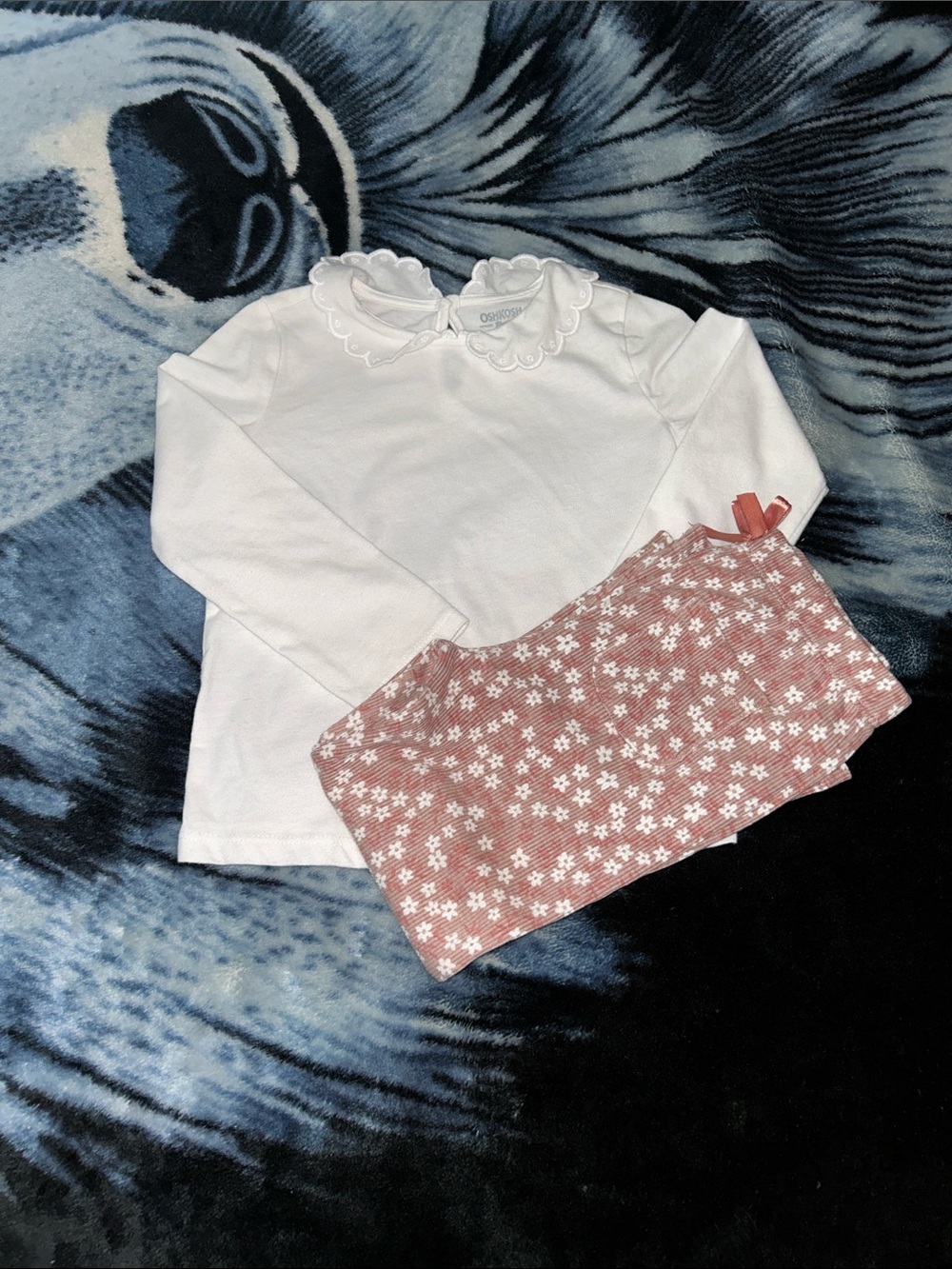 Toddler girl top and bottom